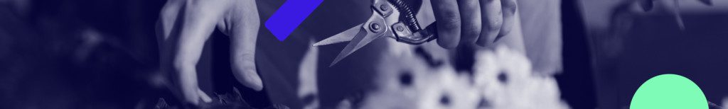 Articles
